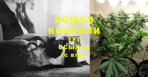 прущий лед Аркадак