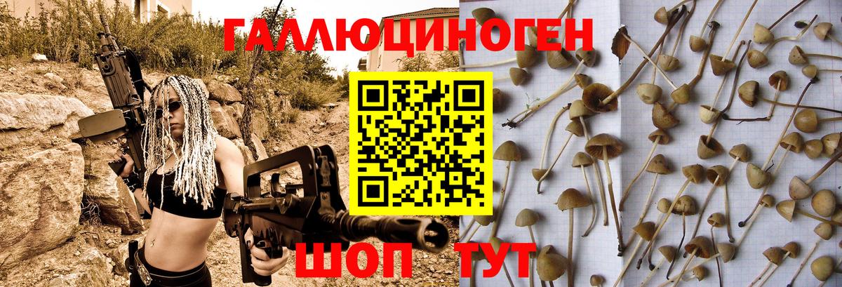 Галлюциногенные грибы мицелий Петровск