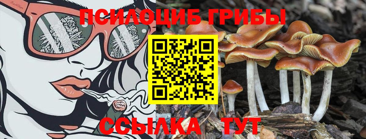 Псилоцибиновые грибы MAGIC MUSHROOMS  Вход с VPN  Петровск  Псилоцибиновые грибы ЛСД 